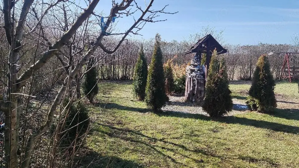 BRASADAS vinde casa cu teren 10 ari in zona Odoreului.
