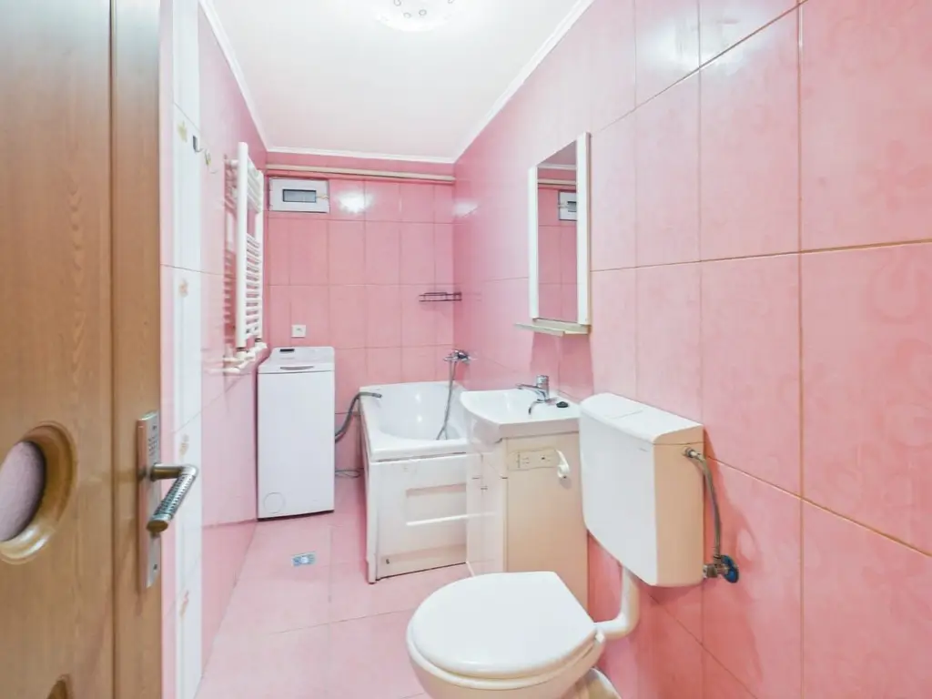 Apartament 1 cameră cu balcon și pod compartimentat | Dâmbovița, Timiș