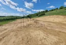 Teren Extravilan de Vânzare – 2.500 mp | Hamba | Zonă în Dezvoltare