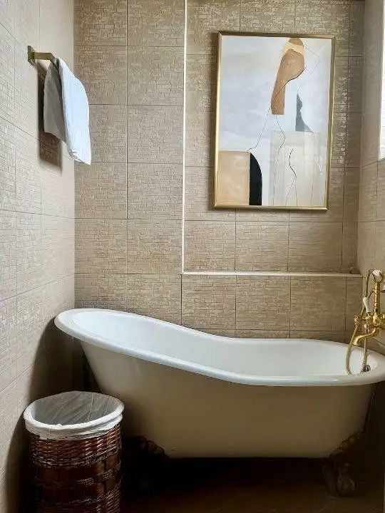 BRASADAS închiriază Penthouse cu terasa la Parcul Circului.
