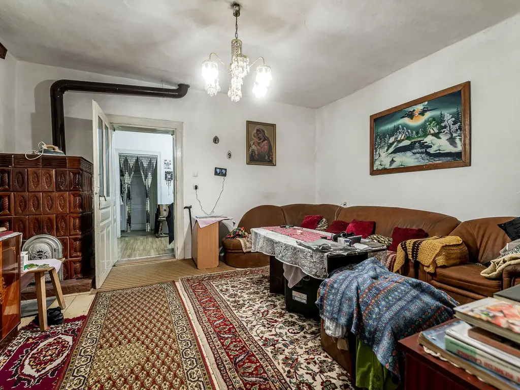 🏡 Casă nemțească autentică în Frumușeni – Fântânele, la 20 km de Arad