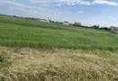 Teren intravilan
