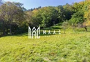 Teren | Intravilan | 2439 MPU | Fântânele