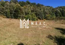 Teren Extravilan 20.000Mp I Stoenești -Vâlcea I Apă Curentă și Pădure