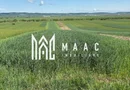 Teren extravilan 2393 mp | Gura Râului | acces, Carte Funciară