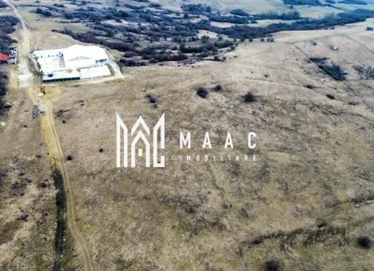 Teren 6,75 ha | Panoramă și Acces Excelent | Dealul Daii