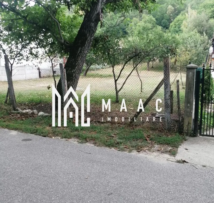 Teren Intravilan 10.000 mp | Livadă + Pădure de salcâm | Bărbătești