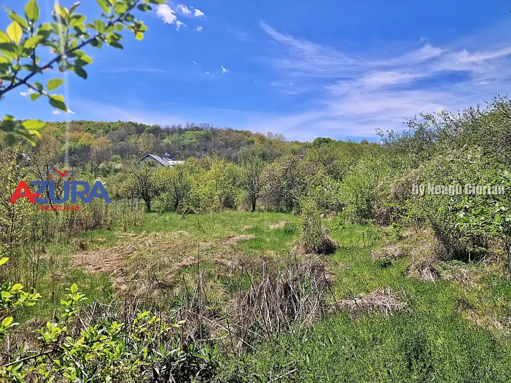 AZURA Imobiliare - Casa Merisani Varzaru DN