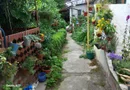 brasadas.com vinde casa 3 cam 135mp zona ULTRACENTRALA.