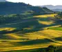 1.500 ha Teren agricol și pășune (Vestul României)