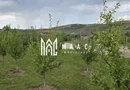 Teren Intravilan | 670 Mp |  Daia