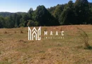 Teren Extravilan 20.000Mp I Stoenești -Vâlcea I Apă Curentă și Pădure