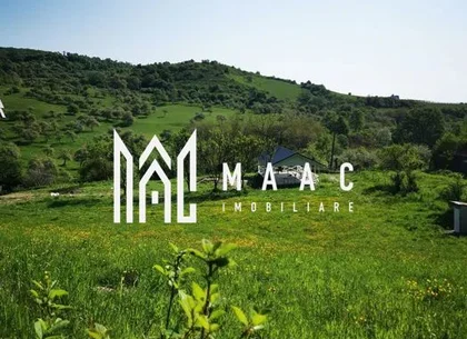 Teren | Intravilan | 5129 MP | 2 Cabane AFrame | Oportunitate Investiție | Bradu