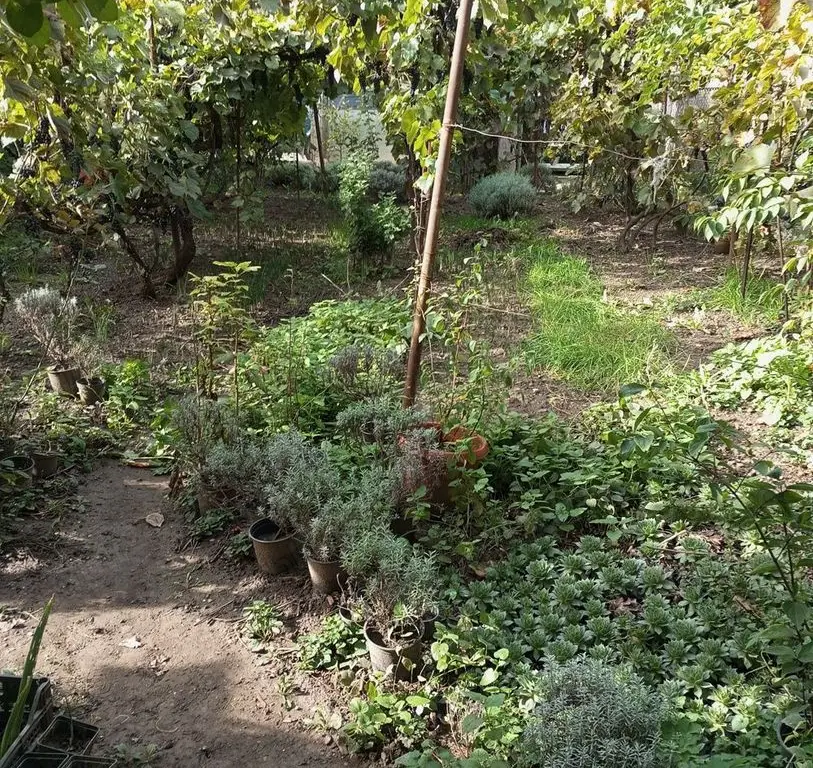 Casă și teren zonă ultracentrală,560 000 euro