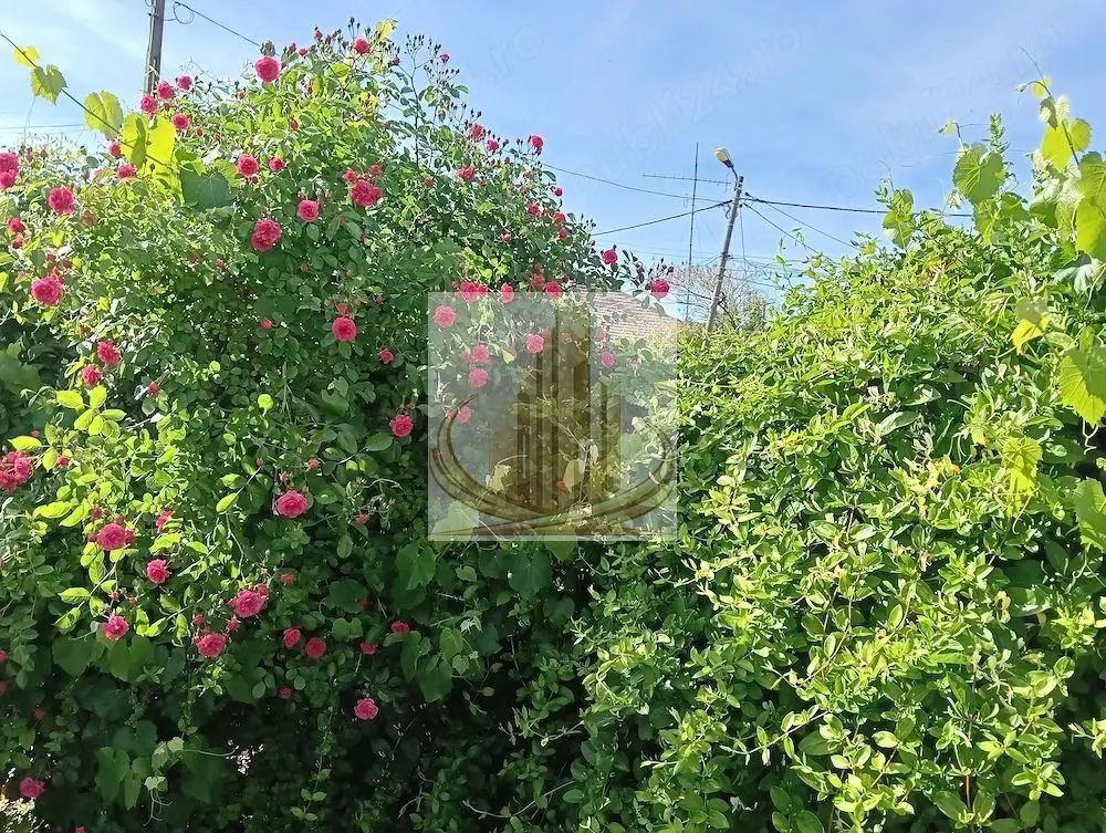 Teren 664 mp | Front 22 ml | Mehala | Ideal Casă sau Duplex