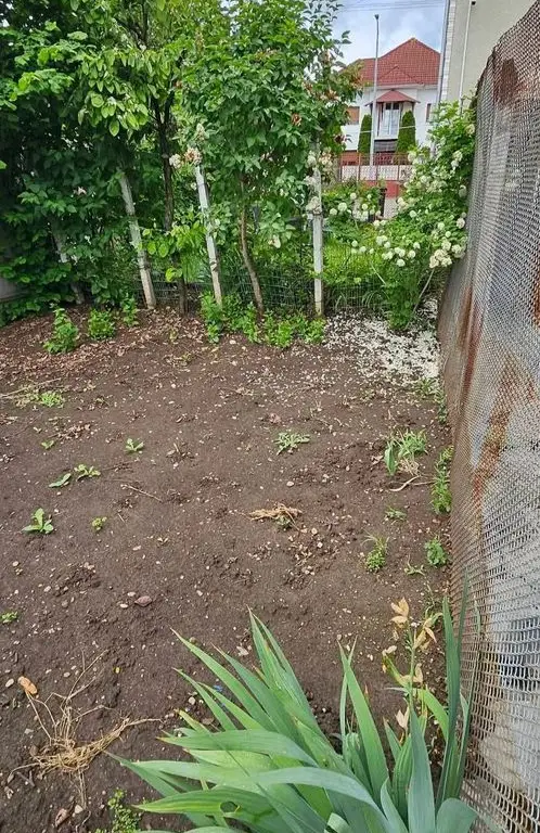 Casă de vânzare