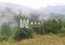 5000 teren in Muntii Apuseni I Pregatit pentru constructie