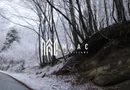 Teren de vanzare I izvor apă minerală  Dangești I 2 Hectare