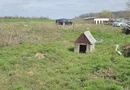 Afumati Balta Batal teren de vanzare 7000 mp