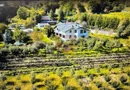 O proprietate de exceptie la Corbi, 18 ha, izvor, lac, pastravarie