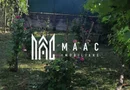 Casă cu teren generos | 18 km de Sibiu | 2400 mp teren | Anexe& Construcție noua