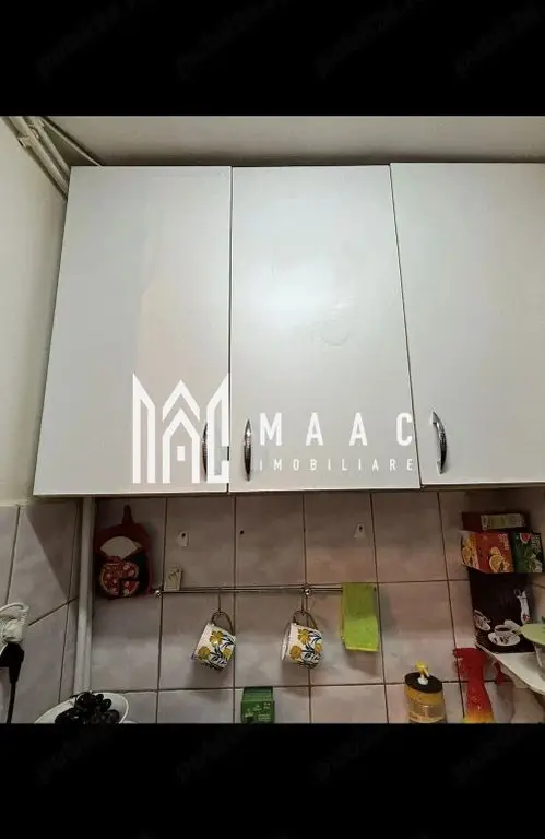 Apartament 1 Camera I Parter I Pretabil Spatiu comercial I Terezian
