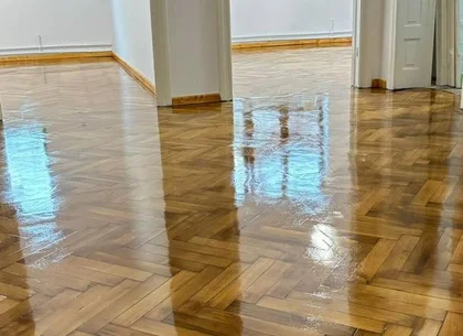 Ag BRASADAS vinde vila 8 camere Parcul Carol