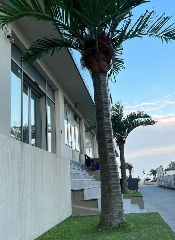 Vand apartament cu vedere la mare- Mamaia Nord