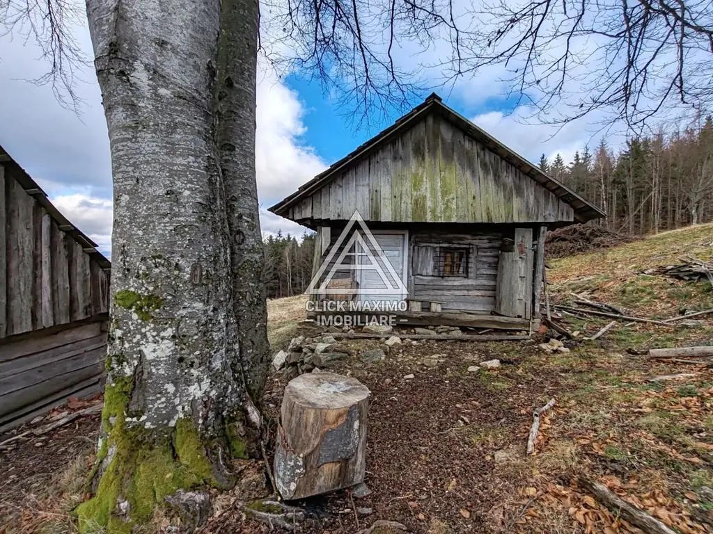 19.5 Hectare în Zona Turistică Montană – Bulz, Bihor