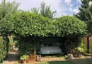 BRASADAS vinde casa cu 7 camere si teren 1100mp in zona Burdea.