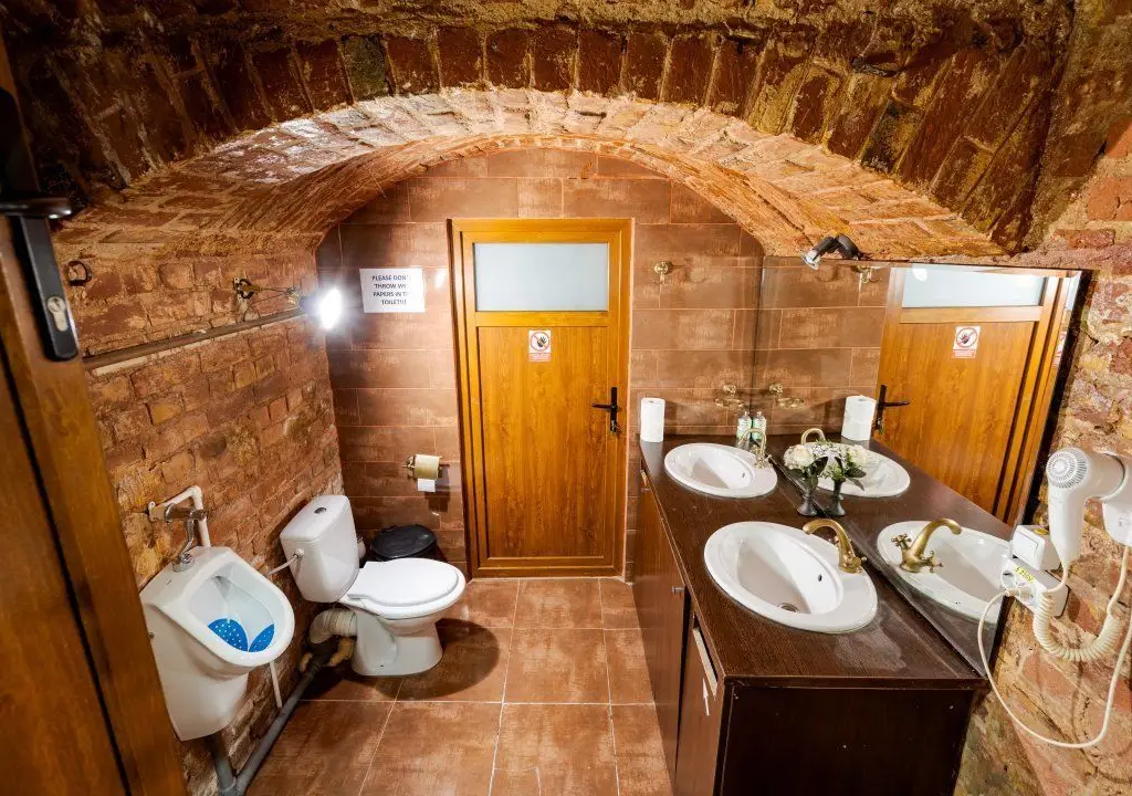 Ag BRASADAS vinde villa cu 20 camere Pta ROMANA.