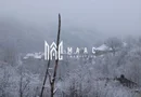 Teren de vanzare I izvor apă minerală  Dangești I 2 Hectare