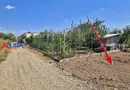 AZURA Imobiliare - Teren Mosoaia Dealul Viilor langa Padure