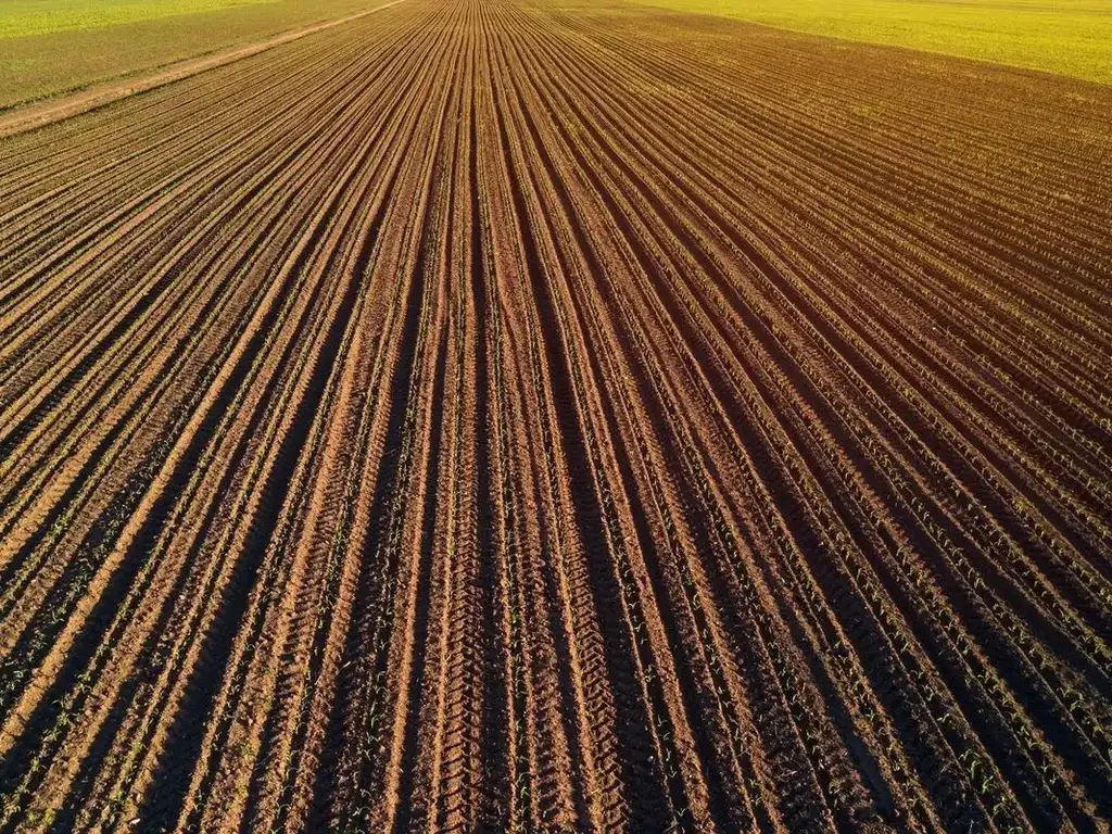 Investiție Agricolă Operațională, Fermă Completă de 730 ha în Nord-Est