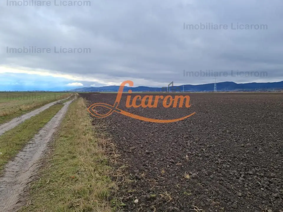 Teren extravilan 2,9 HA,intre Cristian si Vulcan