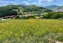 COMISON 0%, teren de vânzare, apă, curent, acces facil, Câmpeni