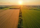 Platforma agro-industriala integrata–aproape 2.000 ha teren cultivabil