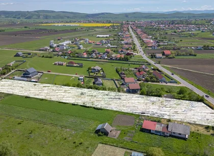 Teren intravilan Bod | Front 46 m la Asfalt | Utilități pe/lângă Teren