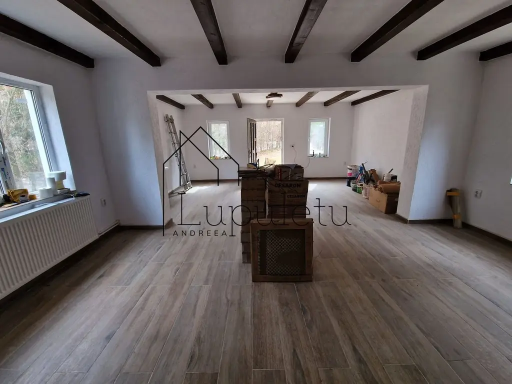 Casa de Vacanta | 120 MPU | Valea Avrigului