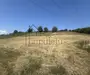 Teren Intravilan |5.000 MPU | Șura-Mare |