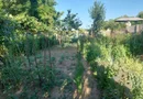 CASĂ 5 CAMERE\ OȚELU-ROȘU\ZONA CIREȘA \ COMISION 0%