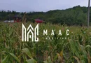 Pachet terenuri | Acces sosea | Lădești – Vâlcea