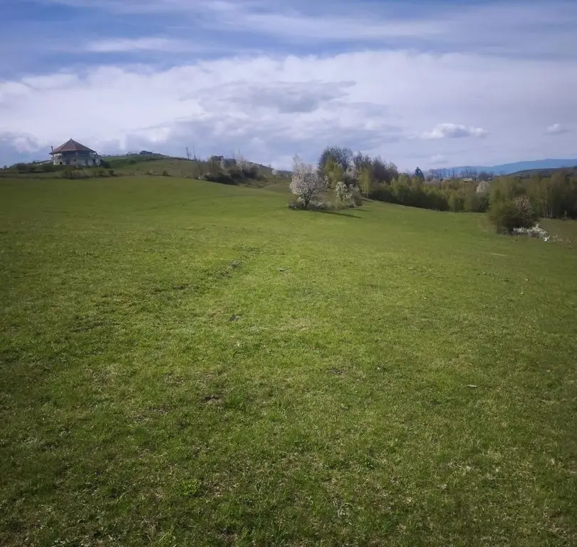 Teren de vânzare
