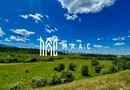 Teren cu potențial turistic I Valea Avrigului I 2900 MP