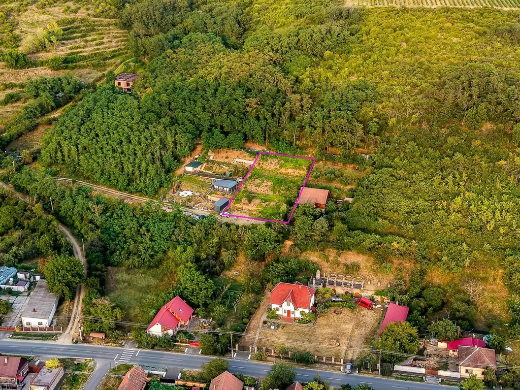 Teren pe deal, 1.150 mp, în Miniș, front 26 m, Drumul Vinului