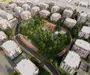 Penthouse 3 camere ARED - 104mp