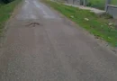 Ag EUROPA vinde teren intravilan cu toate utilitățile în Ardud.