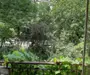 Vând apartament 185mp la Cișmigiu