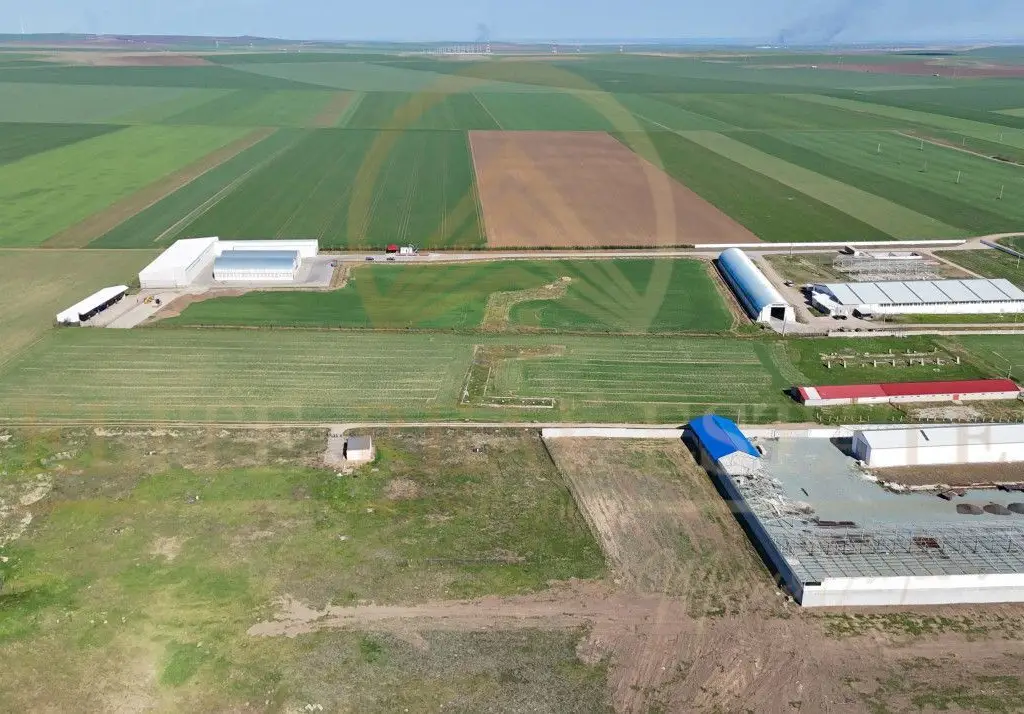 Tariverde - Ferma zootehnica functionala, 3 hectare teren intravilan!