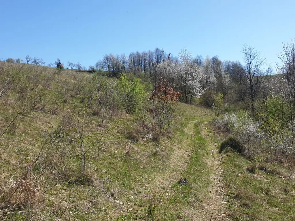 Teren cu panoramă fabuloasă, 10.059 mp, Roșia. 19.000 EUR. Comision 0